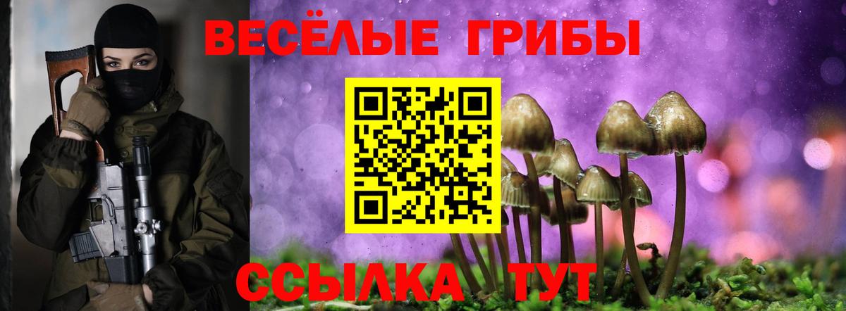 Галлюциногенные грибы GOLDEN TEACHER Арзамас